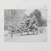 Postüberquerung - Vermonts SchneeWinter in B&W Postkarte (Vorderseite)