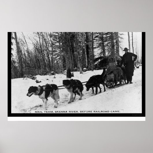 Postzustellung durch ein Dog Team 1905 Poster (Vorne)