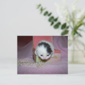 Postzustellung Postkarte (Stehend Vorderseite)