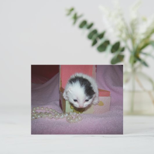 Postzustellung Postkarte (Stehend Vorderseite)