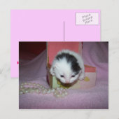 Postzustellung Postkarte (Vorne/Hinten)