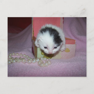 Postzustellung Postkarte