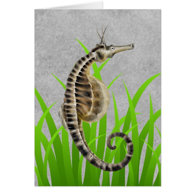 Pot Bellied Sea Horse Animal Print Nautical Notes (Vorne)