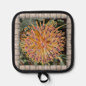 Pot Holder mit Lovely Protea Topflappen (Vorderseite)