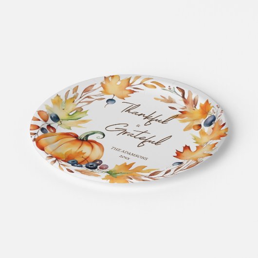 Pot Luck Erntedank Dinner Party Geschirr Pappteller (Schrägansicht)
