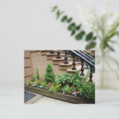 Pot O Trouble Postkarte (Stehend Vorderseite)