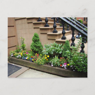 Pot O Trouble Postkarte