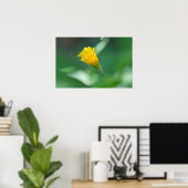 Potato Dandelion Entfurchen bei Dawn Poster (Heimbüro)