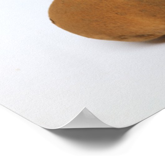 Potato Poster (Ecke)