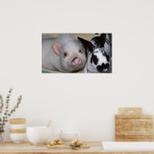 Potbelly Pig & Friend Poster (Küche)