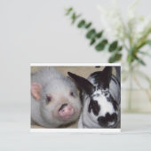 Potbelly Pig & Friend Postkarte (Stehend Vorderseite)