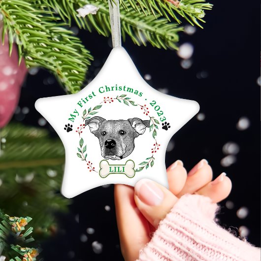 Potcake Dog Personalisiert Zeichnend Hand Keramik Ornament