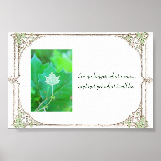 Potenzial Poster (Vorne)