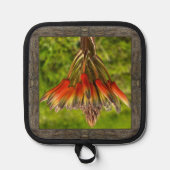 Pothalter mit auffallender Orange-Aloe-Blume Topflappen (Vorderseite)