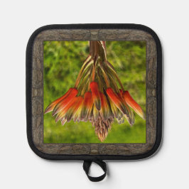 Pothalter mit auffallender Orange-Aloe-Blume Topflappen