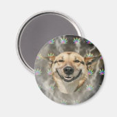 Pothead Dog Magnet (Vorderseite/Rückseite)