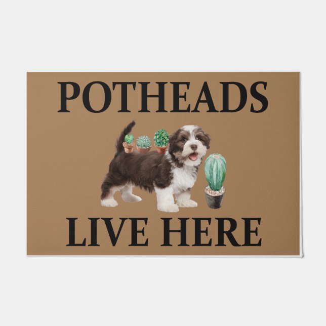 Potheads leben hier, Dog Geschenk Lover Shih Tzu Fußmatte (Vorderseite)