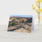 Pothole Point Trail im Canyonlands Nationalpark Karte (Gelbe Blume)