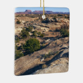 Pothole Point Trail im Canyonlands Nationalpark Keramikornament (Rechts)