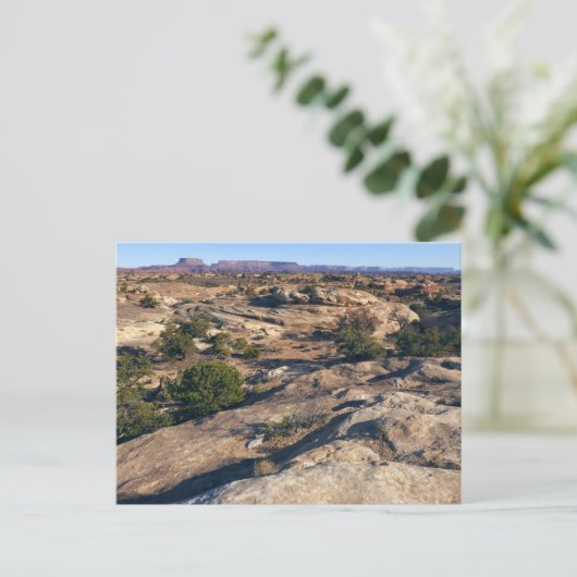 Pothole Point Trail im Canyonlands Nationalpark Postkarte (Stehend Vorderseite)