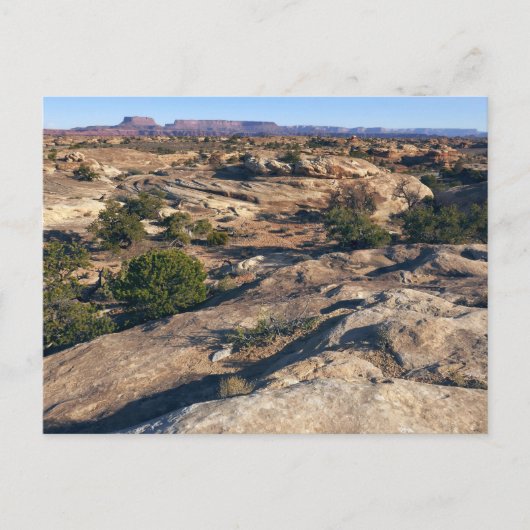 Pothole Point Trail im Canyonlands Nationalpark Postkarte (Vorderseite)