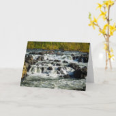 Potomac River, Great Falls Park Karte (Gelbe Blume)