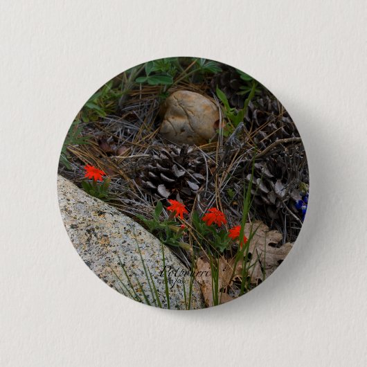 Potpourri Button (Vorderseite)