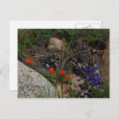 Potpourri Postkarte (Vorne/Hinten)