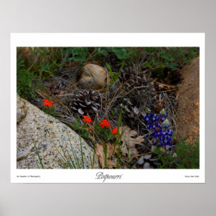 Potpourri Print Poster