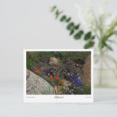 Potpourri Print Postkarte (Stehend Vorderseite)