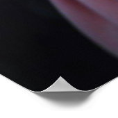 Potrait Poster (Ecke)