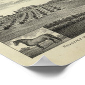 Pottawatomie, Kansas Poster (Ecke)