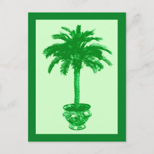 Potted Palm Tree, Emerald und Light Green Postcard Postkarte