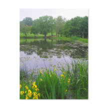 Potter Lake in Lawrence, Kansas, Postcard