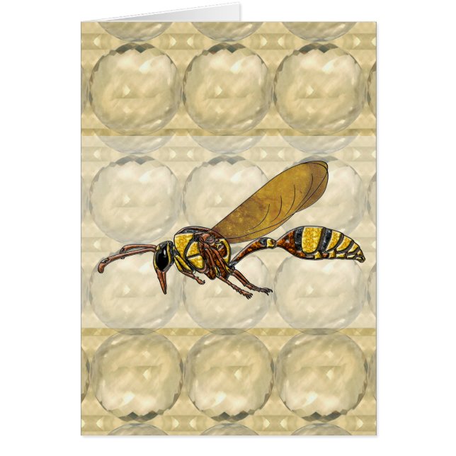Potter Wasp (Vorne)
