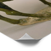 Pottery Chinese wailing camel Poster (Ecke)