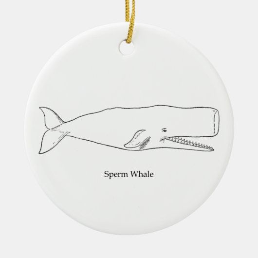 Pottwal-Illustration (Linie Kunst) Keramikornament (Vorne)