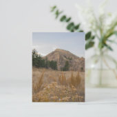 Poudre Canyon Colorado Postcard Postkarte (Stehend Vorderseite)