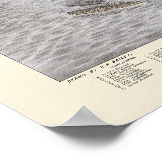 Poughkeepsie, NY Panoramic Map - 1874 Poster (Ecke)