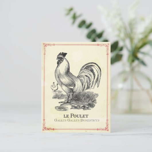 Poulet Chicken Postkarte (Stehend Vorderseite)