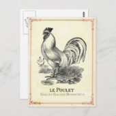 Poulet Chicken Postkarte (Vorne/Hinten)
