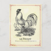 Poulet Chicken Postkarte (Vorderseite)