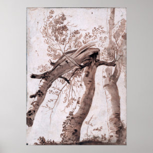 Poussin - Zwei Silberbirken Poster