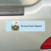 Pouter Pigeon Red Hana Autoaufkleber (Auf Auto)