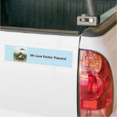Pouter Pigeon Red Hana Autoaufkleber (Auf Lkw)