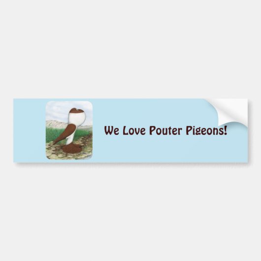 Pouter Pigeon Red Hana Autoaufkleber (Vorne)