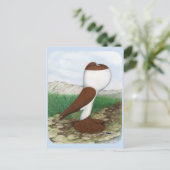 Pouter Pigeon Red Hana Postkarte (Stehend Vorderseite)