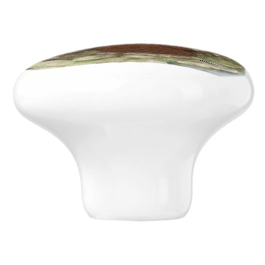 Pouter-Tauben-Rot Hana Keramikknauf (Seitenansicht)