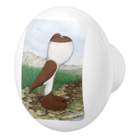 Pouter-Tauben-Rot Hana Keramikknauf (Rechts)