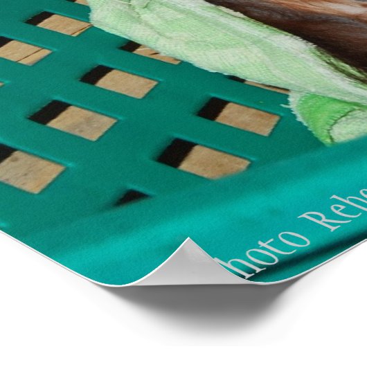 Pouty Baby zur Erhaltung der wild lebenden Tierart Poster (Ecke)